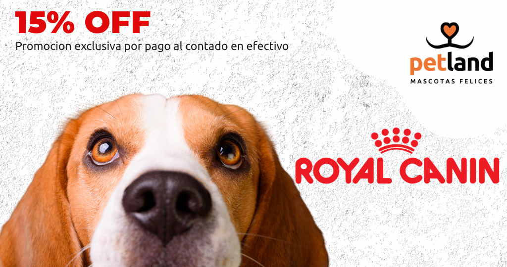 Royal Canin 15% OFF - Efectivo
